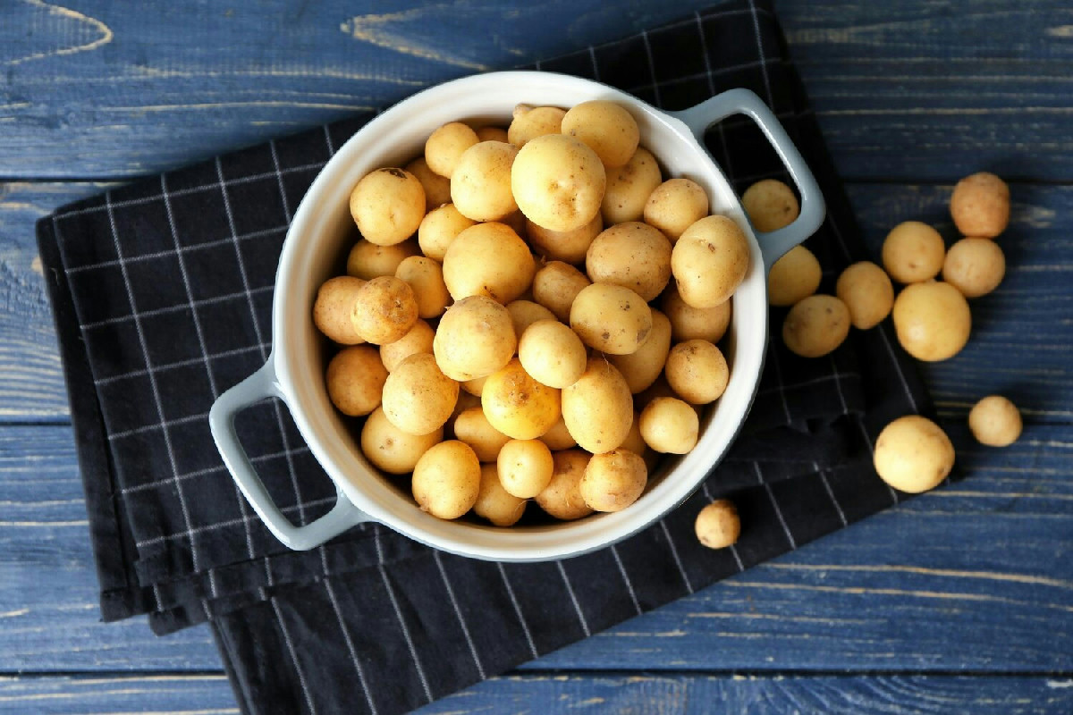 Chicche di patate: ricetta gustosa con abbinamenti perfetti per ogni tipo di palato