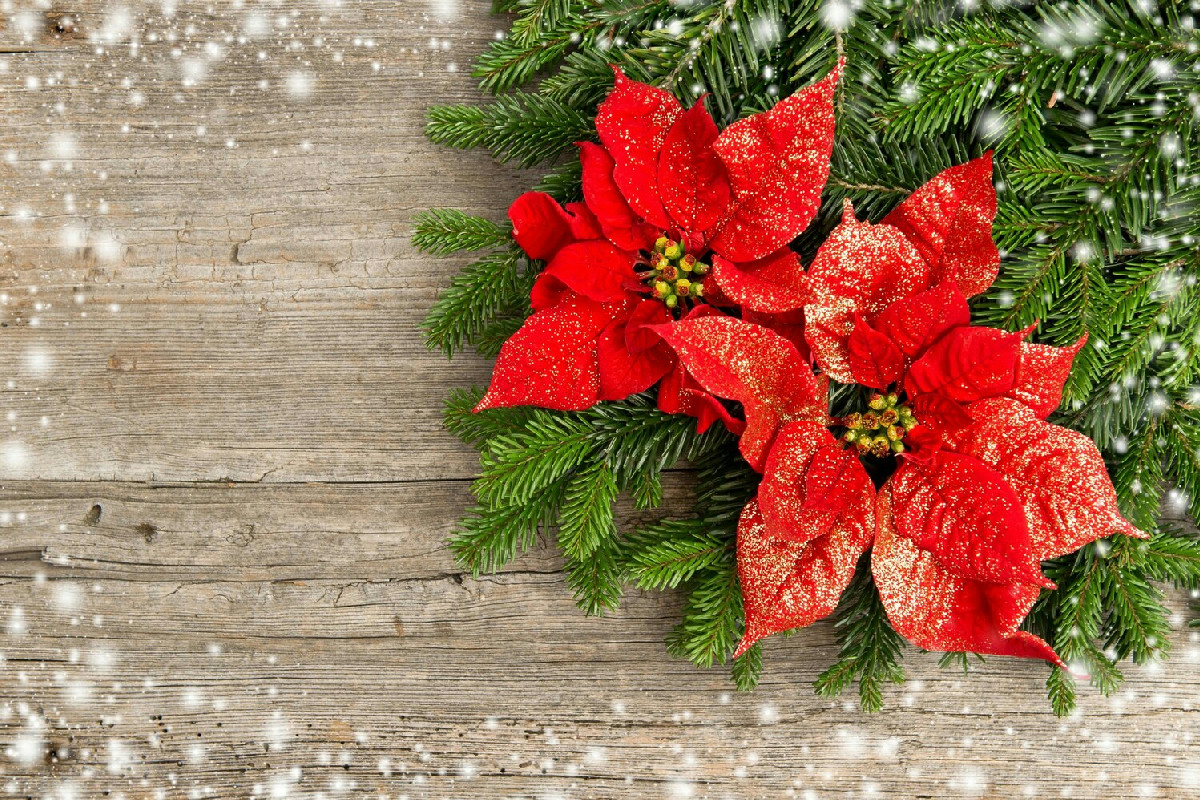 Il dettaglio che rende la tavola natalizia indimenticabile per i tuoi invitati