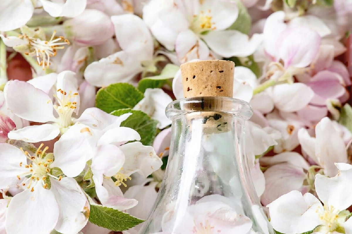 Rimedi naturali efficaci per un bagno profumato e ben ventilato senza chimica aggressiva